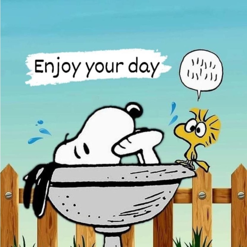 To my new friend 🥰